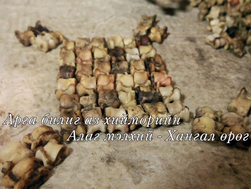 Эх өв: Алаг мэлхийн хангал өрөг