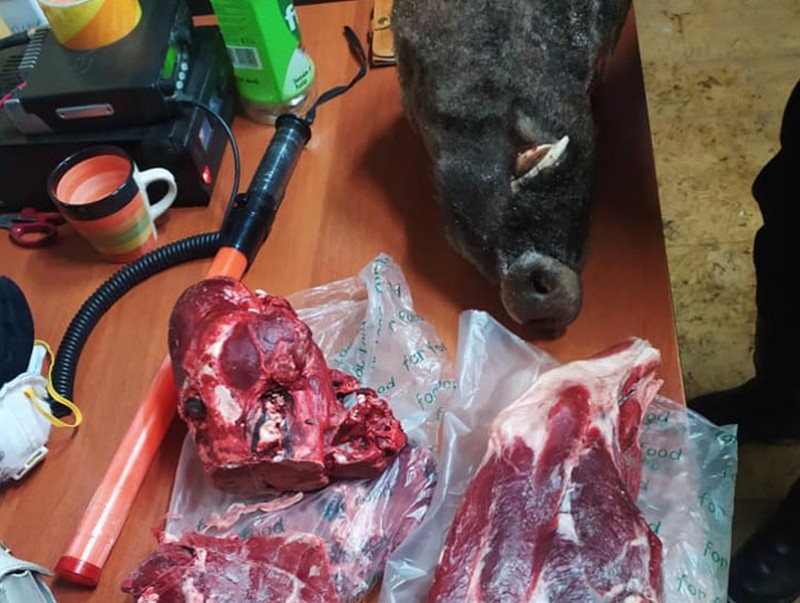 Зэрлэг гахайн болон чонын толгой тээвэрлэн явсан зөрчлийг илрүүллээ