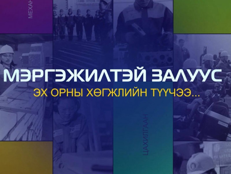 Мэргэжилтэй залуус