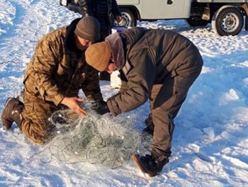 Найман зуу гаруй загасны тор хураан авч, устгажээ