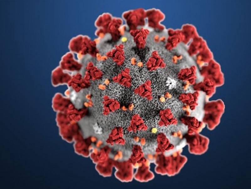 "COVID-19" халдварын тандалт судалгааны тойм-5