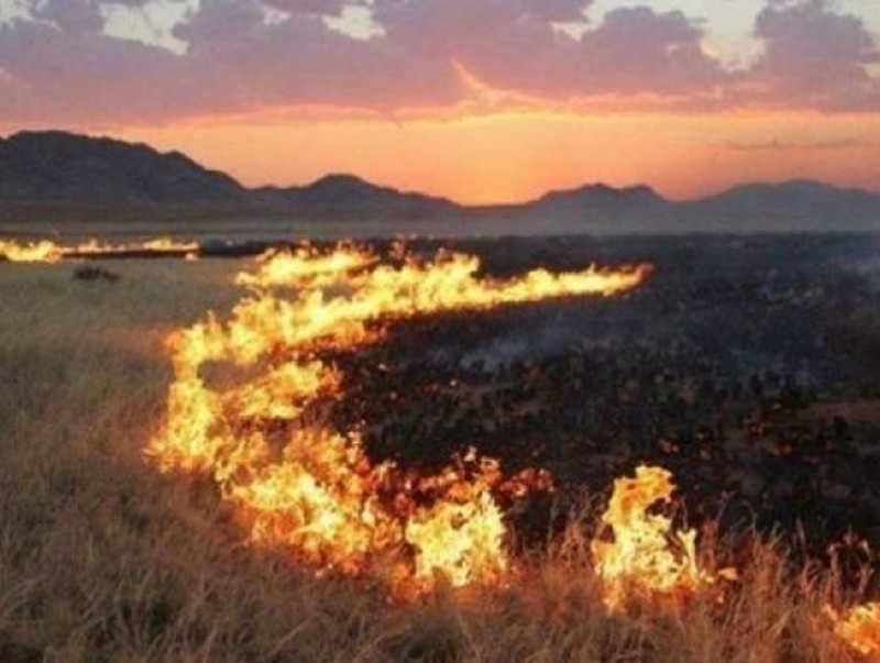 Ой хээрийн түймрээс урьдчилан сэргийлнэ үү