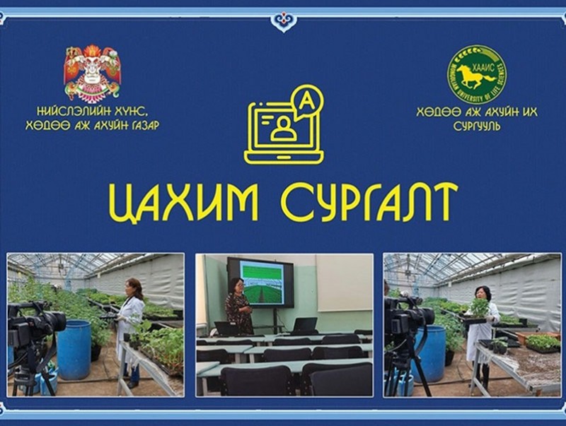 Цахим сургалт явуулж байна
