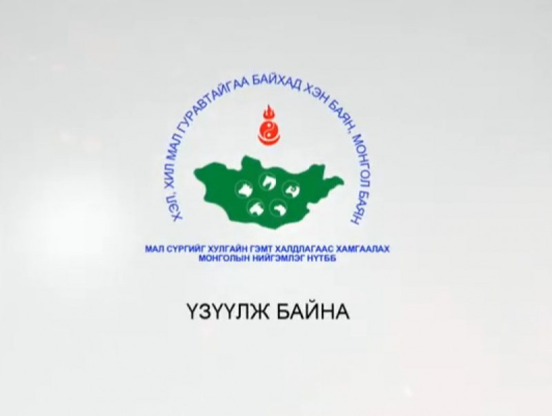 “Мал хамгаалах нийгэмлэг хагас жилд”