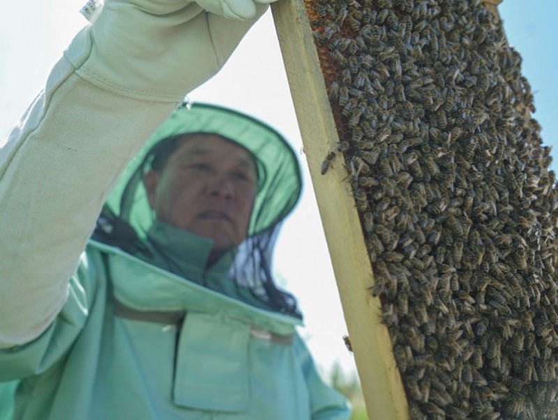 Монгол Зөгийн бал экспортын шинэ бүтээгдэхүүн болно
