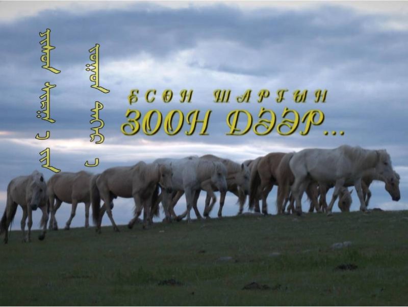 “Есөн шаргын зоон дээр” нийтлэл