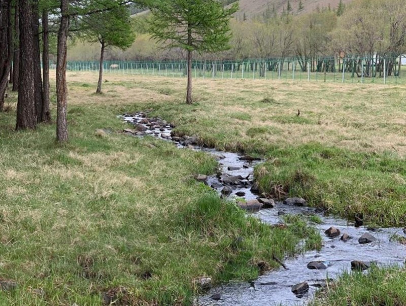 Тусгай хамгаалалттай газрыг нэмэгдүүлснээр усны нөөц сэргэж, түвшин нь нэмэгджээ