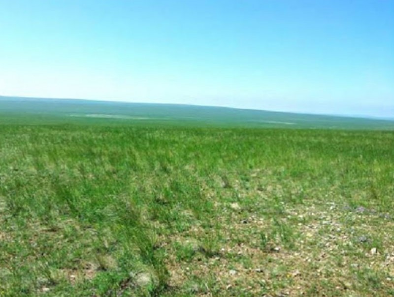 Тосон хулстай байгалийн нөөц газар, нутагт үйлдвэрлэлийн зориулалттай хадлан бэлтгэхийг хориглолоо