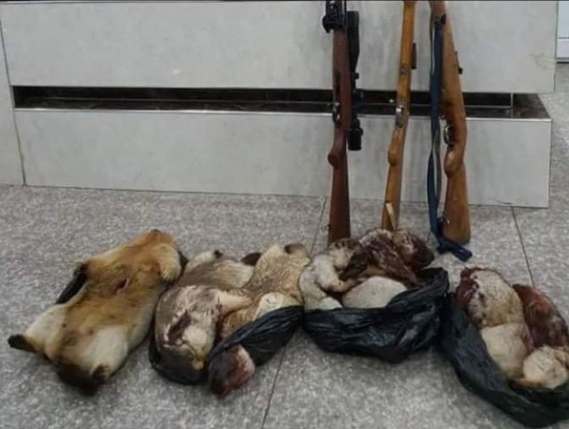 Тарвага тээвэрлэж явсан тээврийн хэрэгслийг саатуулан шалгаж байна