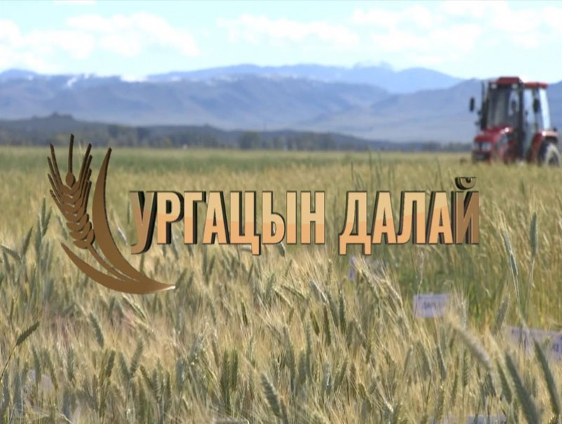 Ургацын далай