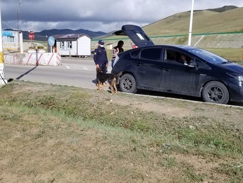 Авто тээврийн шалган нэвтрүүлэх товчоогоор 73 ширхэг лаазалсан тарваганы мах оруулахаар завджээ