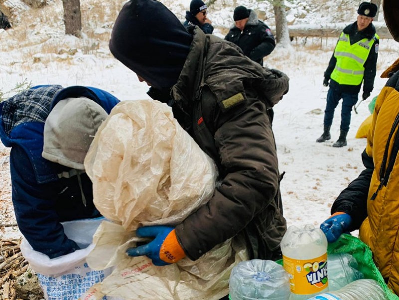 Дархан цаазат газраас хуш модны самар түүж бэлтгэхийг хориглодог