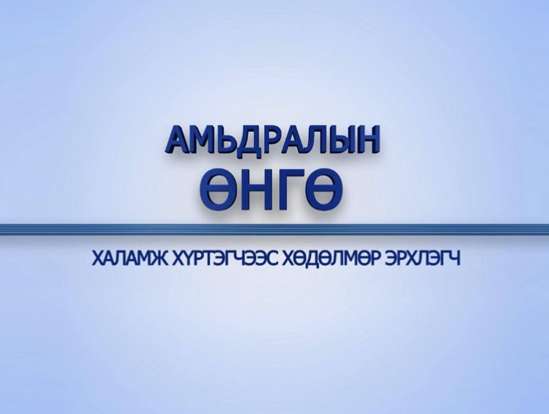 Амьдралын өнгө: Халамж хүртэгчээс хөдөлмөр эрхлэгч