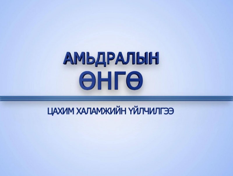 Амьдралын өнгө: Цахим халамж