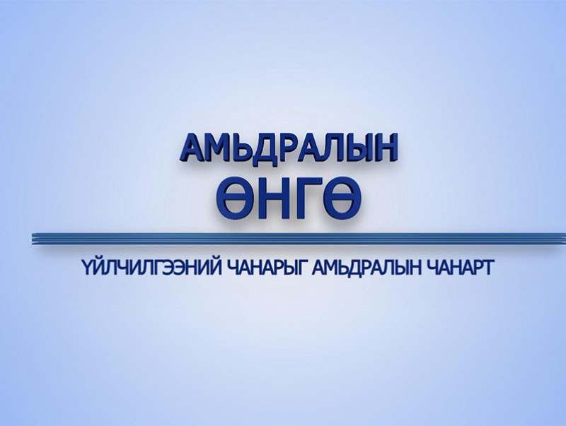 “Амьдралын өнгө” цуврал: Үйлчилгээний чанарыг амьдралын чанарт