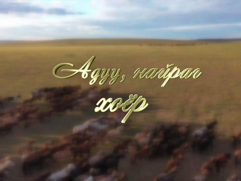Адуу найраг хоёр