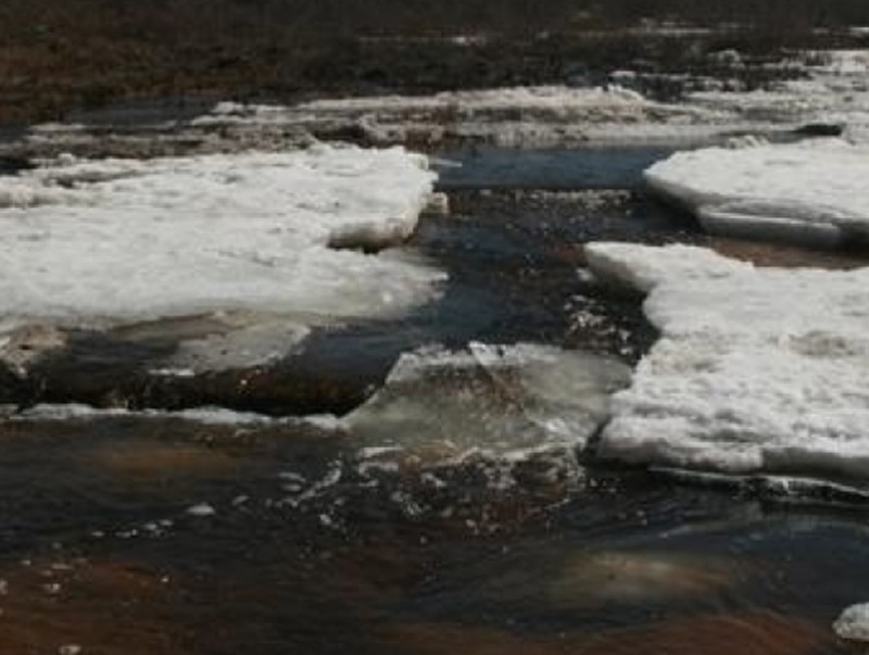 Шар усны үерийн аюулаас сэрэмжлүүлж байна