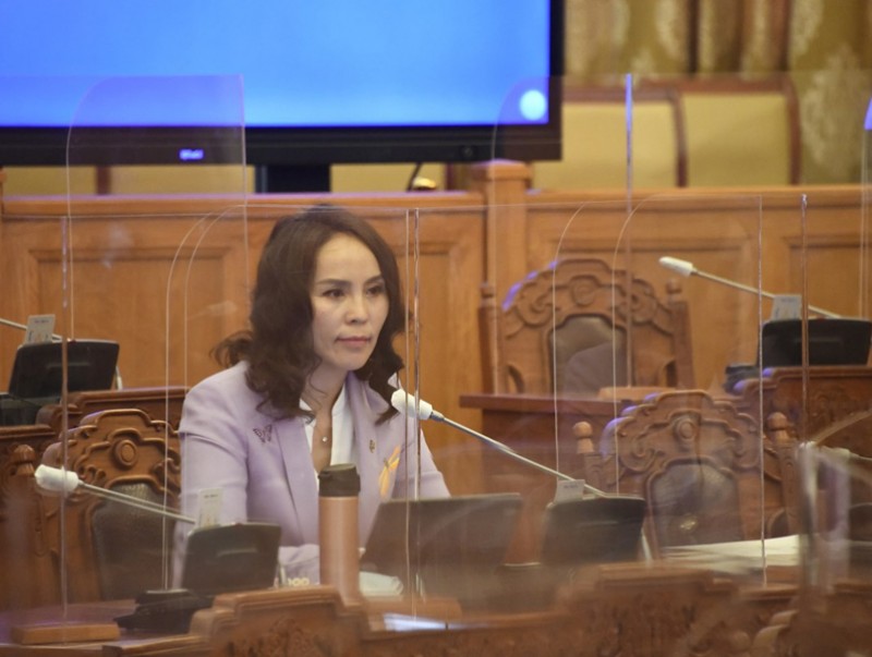 Барааны тэмдэг, газар зүйн заалтын тухай хуулийн төслийн анхны хэлэлцүүлгийг хийв