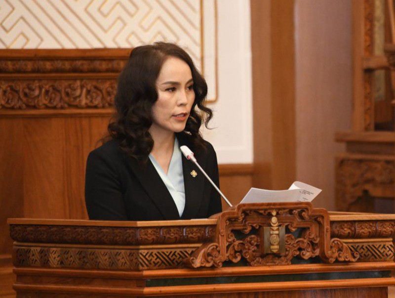 Хүний эрхийн хамгаалагчийн эрх зүйн байдлын тухай хуулийн төслийн эцсийн хэлэлцүүлгийг дэмжив