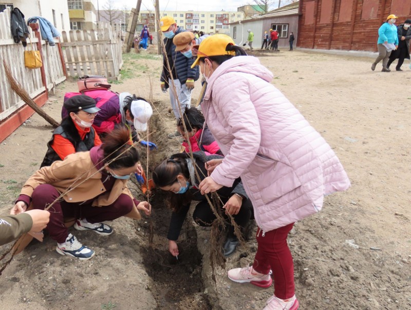 Хөвсгөл аймагт 2024 он хүртэл нэг сая мод тарьж, ургуулахыг зорьж байна