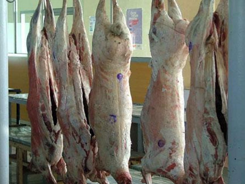 Амралтын өдрүүдэд нөөцийн махны худалдааг зохион байгуулна