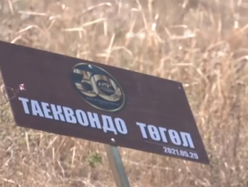 Монголын таеквондогийн холбооны тамирчид Богд уулын аманд мод тарилаа