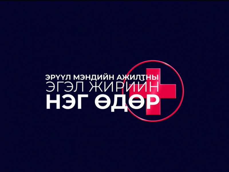 Эрүүл мэндийн ажилтны эгэл жирийн нэг өдөр: Эмчийн нэг өдөр