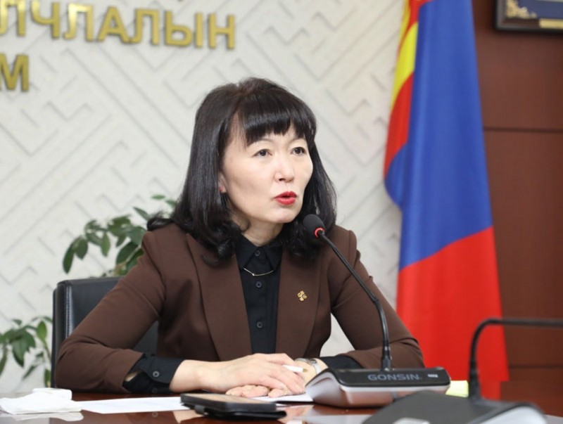 “Аялал жуулчлалыг сэргээх стратеги төлөвлөгөө”-г төр, хувийн хамтран боловсруулж байна