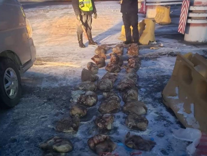 Ховордсон ан амьтныг агнахгүй байхыг анхааруулж байна