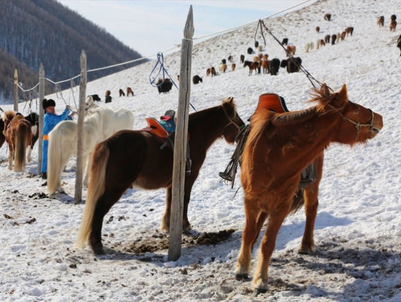 Нутагт минь үлдсэн цагаан сар