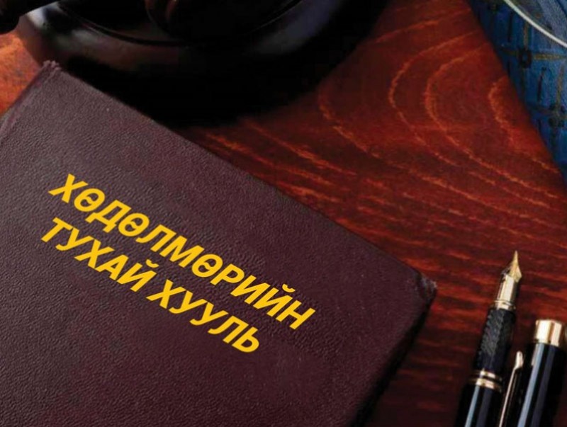 2022 оны нэгдүгээр сарын 1-нээс хүчин төгөлдөр мөрдөгдөж эхлэх хуулиуд...