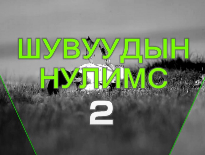 Ногоон шошго: “Шувуудын нулимс-2”
