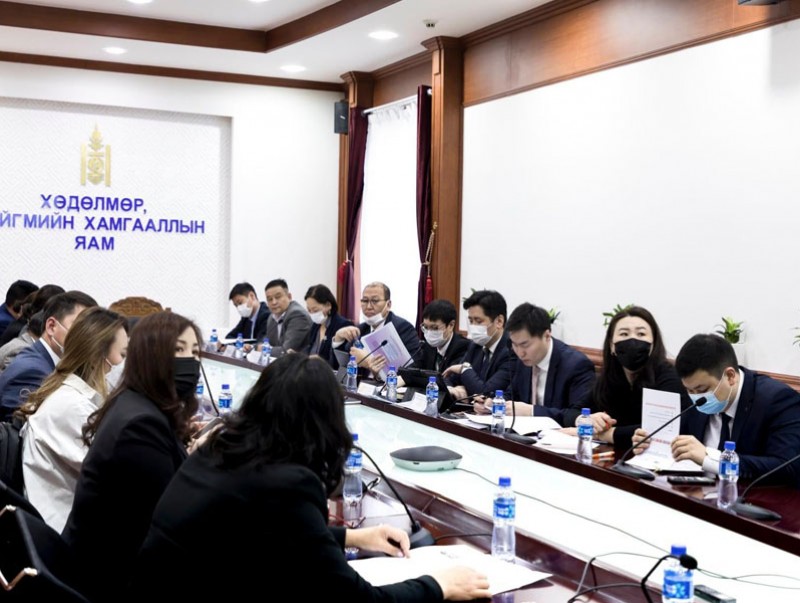 Эмэгтэйчүүдийн хөдөлмөр эрхлэлтийг дэмжих хөтөлбөр шинээр хэрэгжүүлнэ