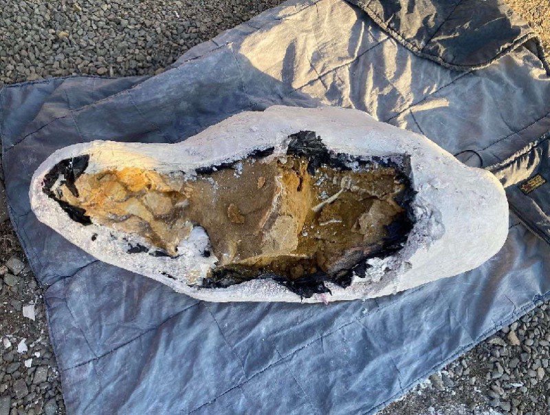 Динозаврын яс бусдад өндөр үнээр зарж борлуулах гэж байсныг таслан зогсоолоо
