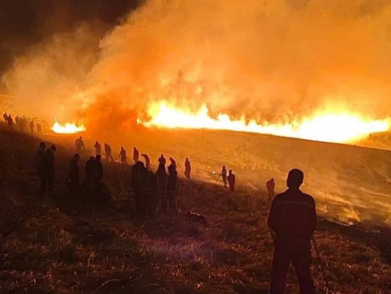 Он гарсаар 41 удаагийн ой, хээрийн түймэр бүртгэгдээд байна