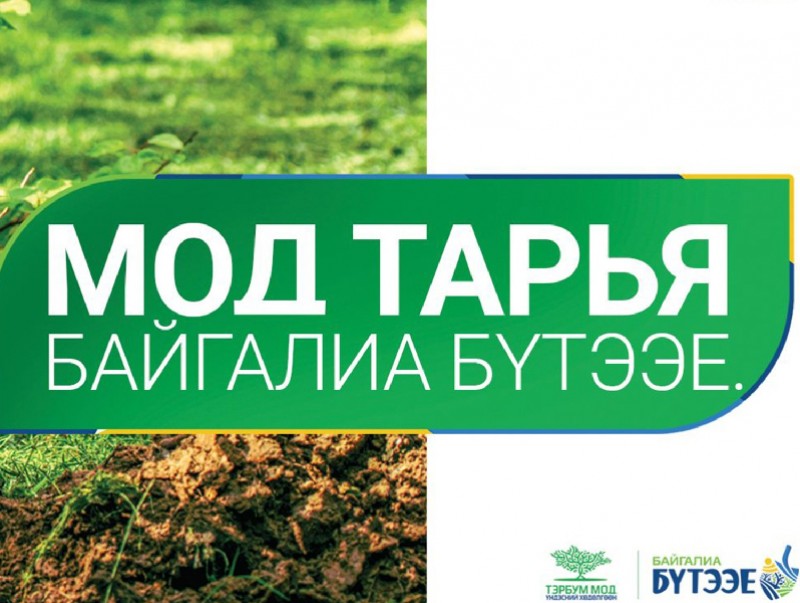 “Байгалиа бүтээе” нэгдсэн арга хэмжээ үргэлжилж байна