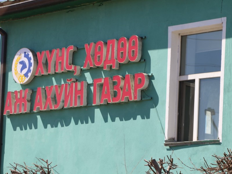 Дархан-Уул аймагт мал үржил, бүртгэлийн ажил 10 гаруй хувьтай байна