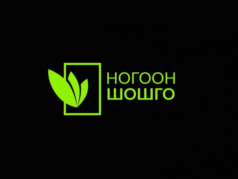 Ногоон шошго: Хор тээсэн холын "Тээвэр" #MNB #МҮОНТ