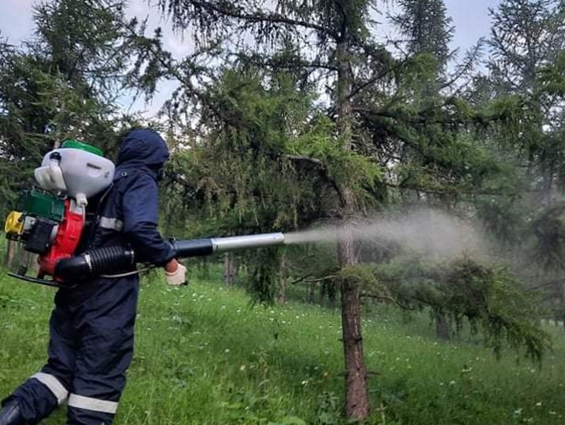 ЗГ: Ойн хөнөөлт шавжтай тэмцэх ажилд хөрөнгө гаргана