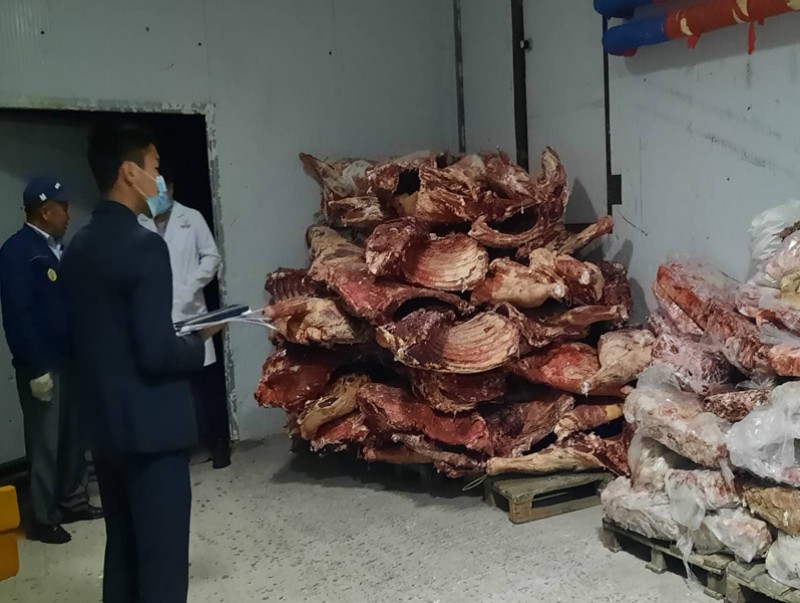 Зөрчил илэрсэн мал нядалгааны газрын үйл ажиллагааг түр зогсоов