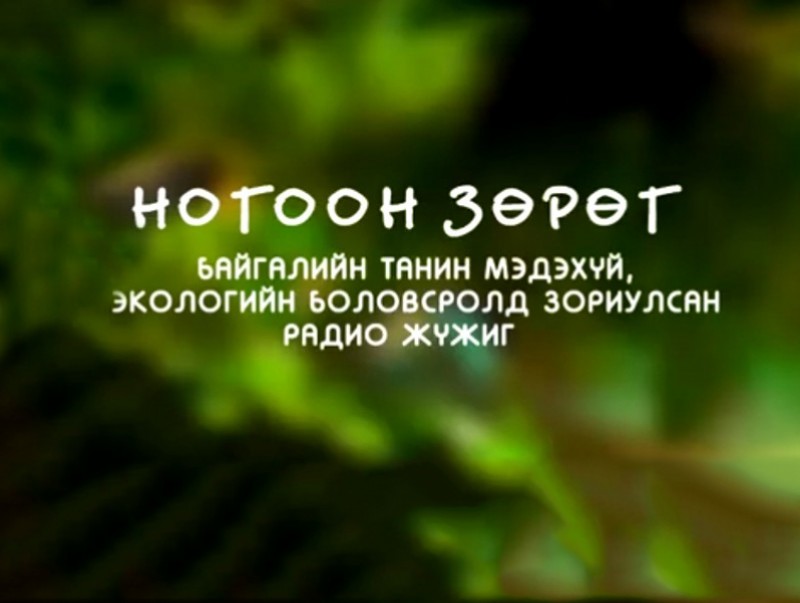 Ногоон зөрөг: Хаашаа явахыг тэнгэр мэднэ