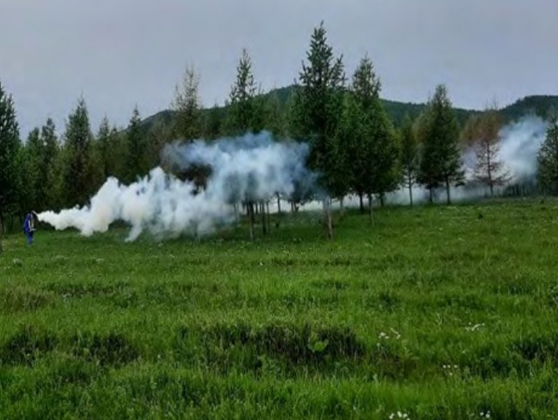 Булган аймагт ойн хортон шавж устгал үргэлжилж байна