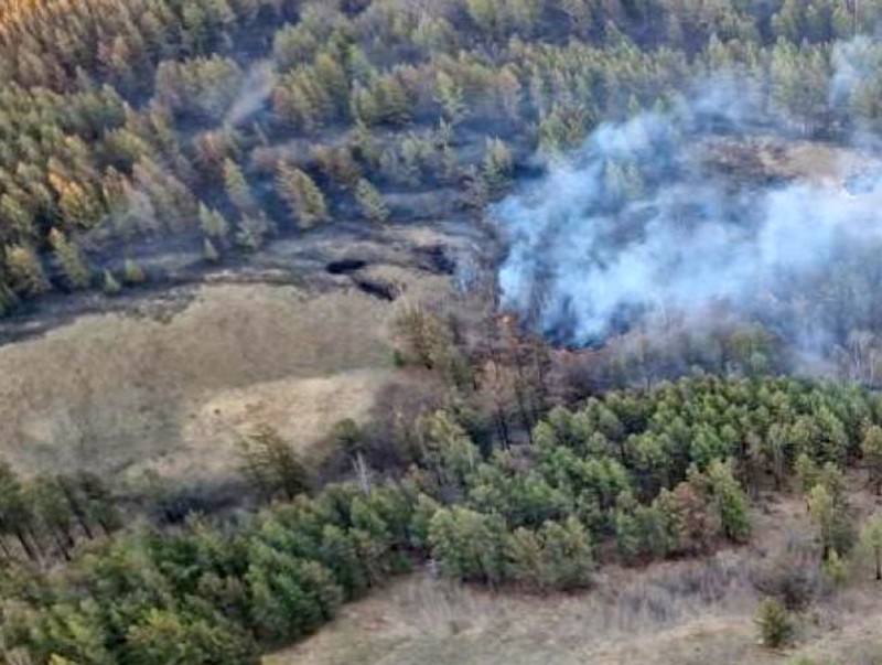 Он гарсаар 97 удаагийн ой, хээрийн түймрийн дуудлага бүртгэгджээ