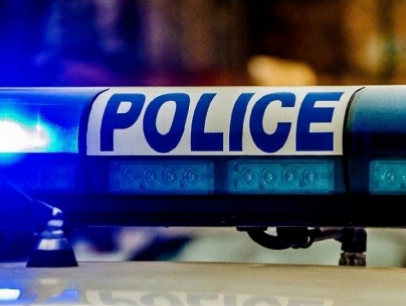 Ховордсон амьтан агнаж, худалдан борлуулж байхад нь илрүүлжээ