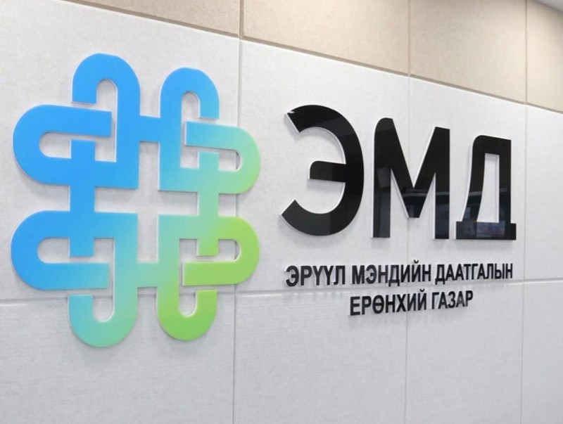 ЭМДЕГ: 2022 онд 66904 эх болон нярайд ЭМД-ын хөнгөлөлт үзүүлээд байна