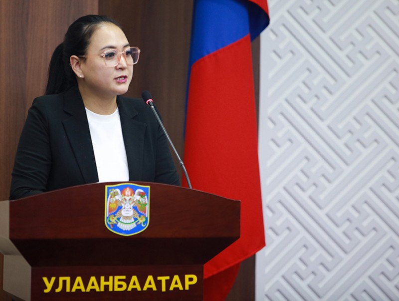 Улаанбаатар хотын нийтийн төв номын санг төр, хувийн хэвшлийн түншлэлээр сайжруулах боломжийг судална