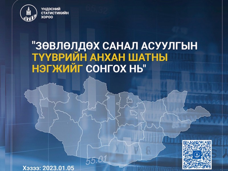 ҮСХ: Зөвлөлдөх санал асуулгын "Түүврийн анхан шатны нэгж"-ийг өнөөдөр сонгоно