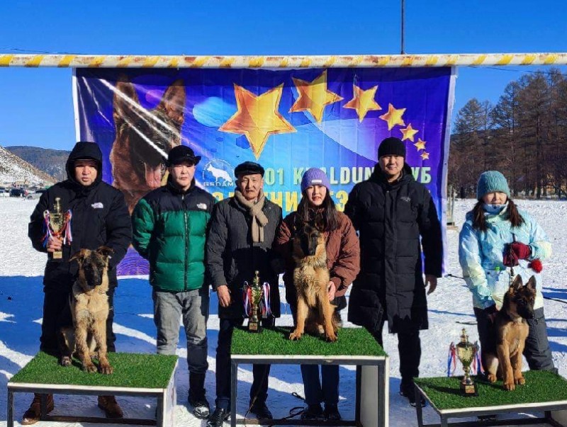 Хилчин Ари нохой цом авчээ