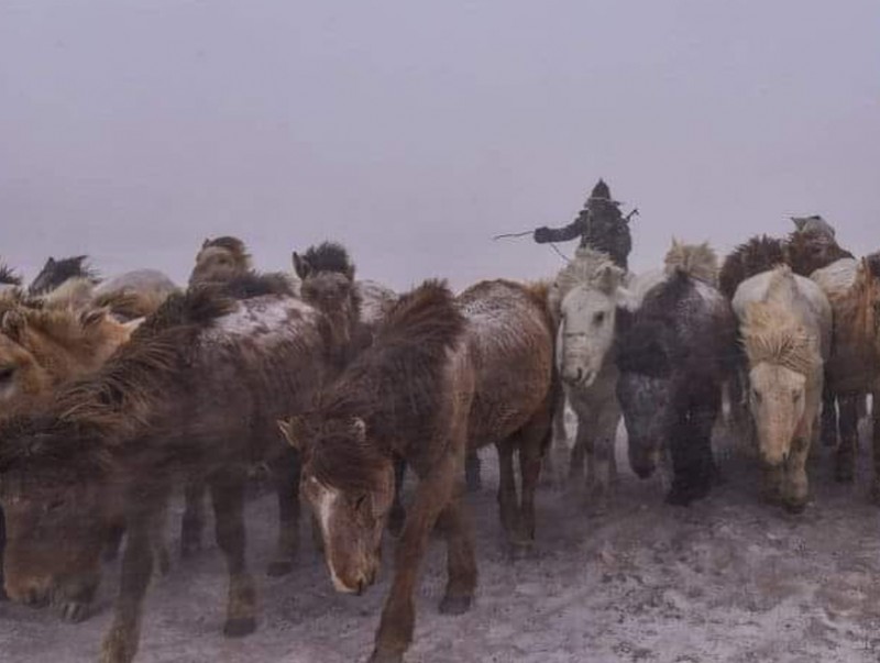 Иргэдэд учирч болох 865 сая төгрөгийн хохирлоос урьдчилан сэргийллээ