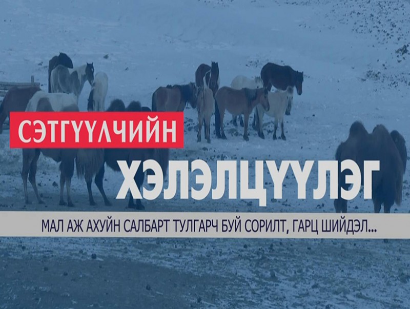 Сэтгүүлчийн хэлэлцүүлэг “Эрчимжсэн мал аж ахуй”
